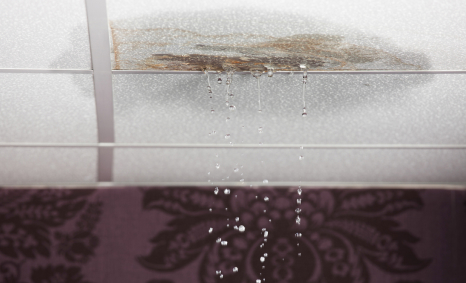 Plumber Altona North